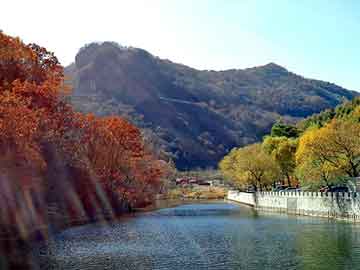 澳门二四六天天彩图库，朱永博